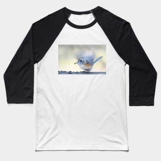 Feathered Fan Baseball T-Shirt